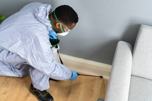 Best Emergency Pest Control  in Dearborn Heights, MI